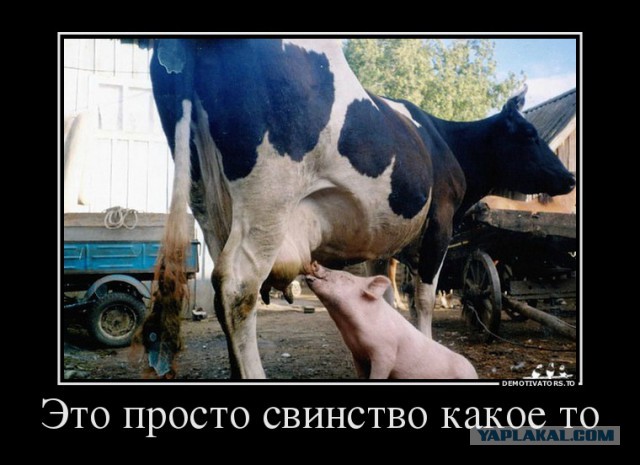 Лучший комментарий, к новости об ущербе Латвии от СССР - конкурс от Марии Захаровой