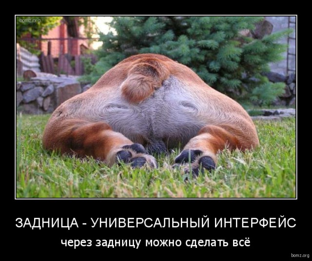 Картинки для поднятия настроения - 4