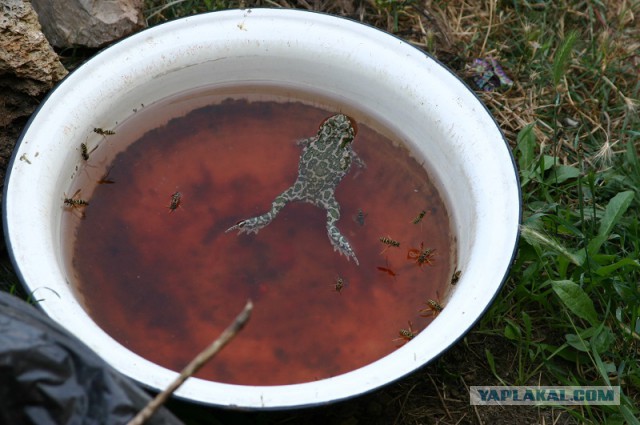 Костровой стол своими руками