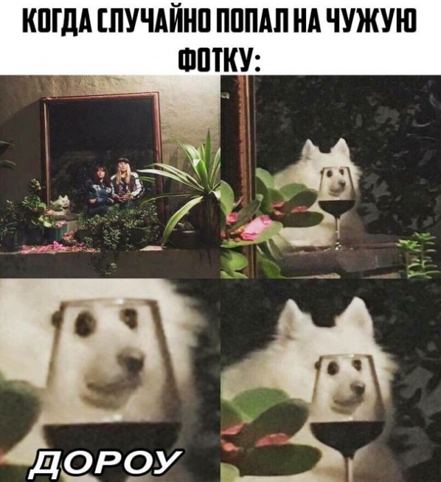 Смешные картинки
