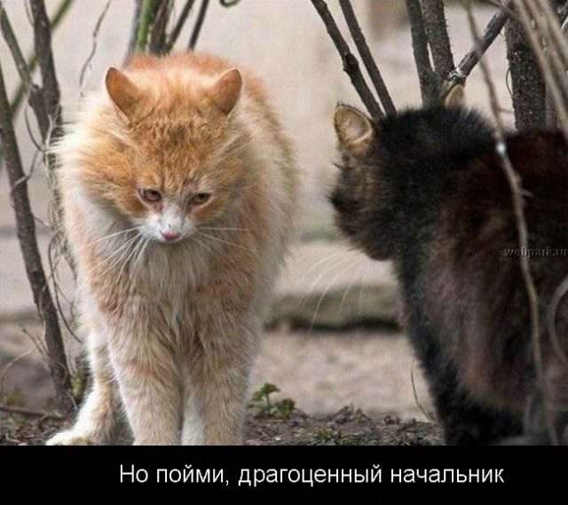 Суббота - рабский день!