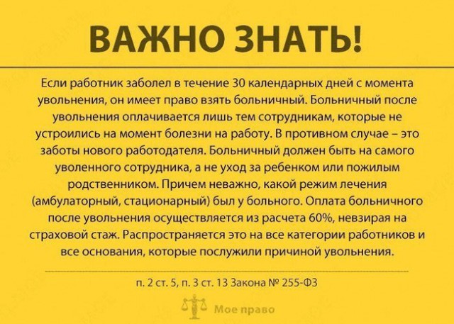 Ваши права во время больничных, отпуска и не только. Важно знать!