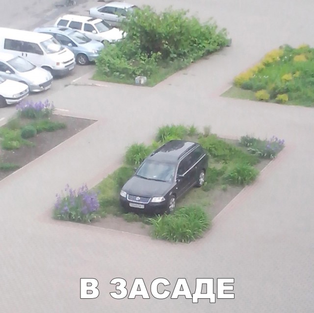 Всякая всячина