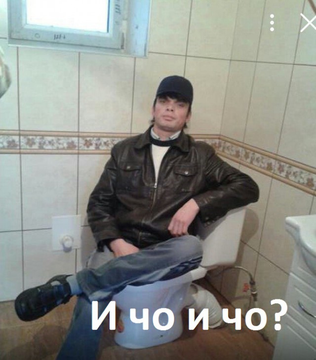 Скотсети и прочие интернеты