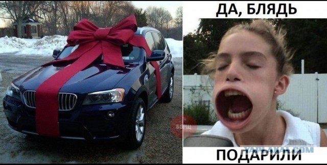 Лыжницы. Рейс на Куршавель