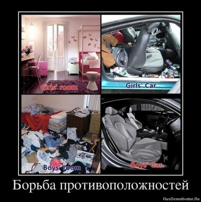 Барышня приехала на ремонт....