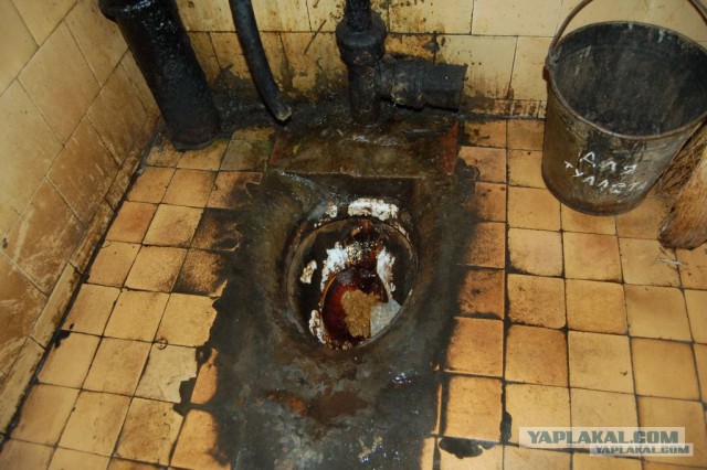 Туалеты в разных странах мира