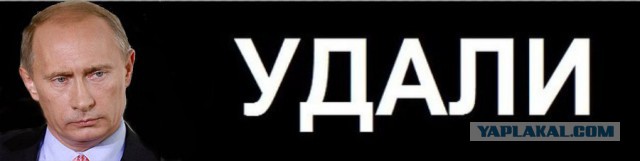 По опросу треть граждан выступила против выдачи властям доступа к переписке в мессенджерах