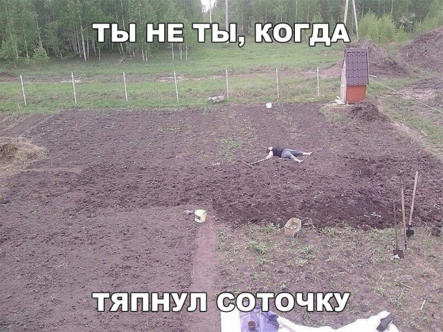 Прикольные картинки абавсём