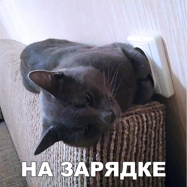 Нестандартный юмор