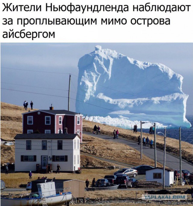 Анекдоты, истории и картинки с надписями