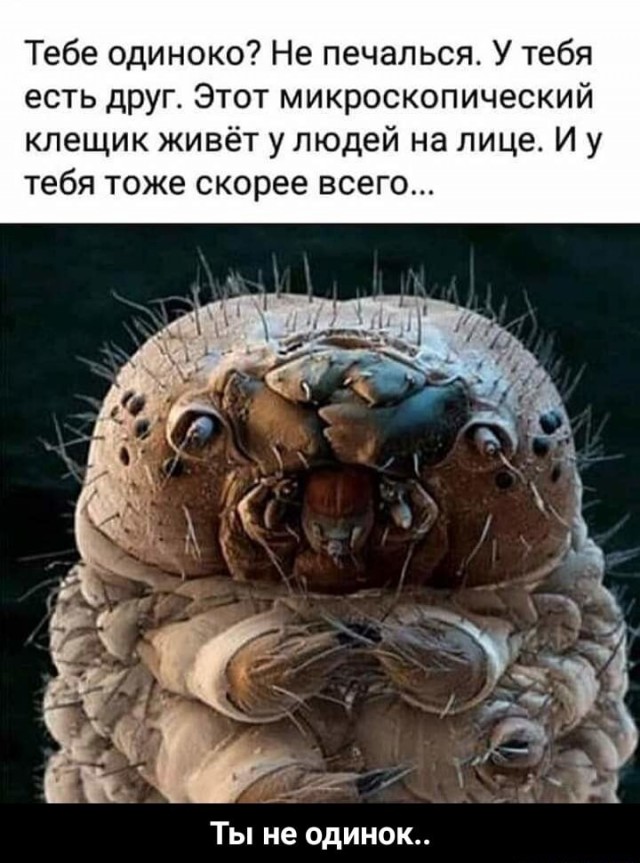 Картинки с надписями