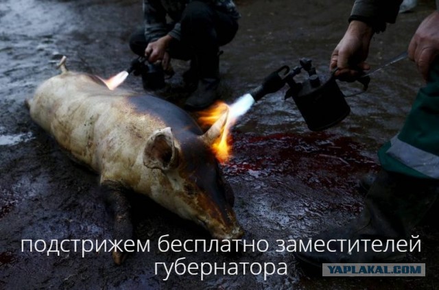 Неизвестные напали на подмосковный дом замгубернатора
