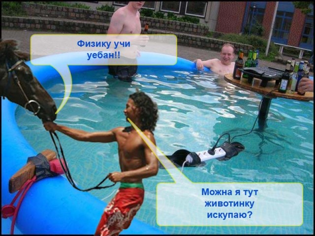 Фотожаба дня: Летающий конь