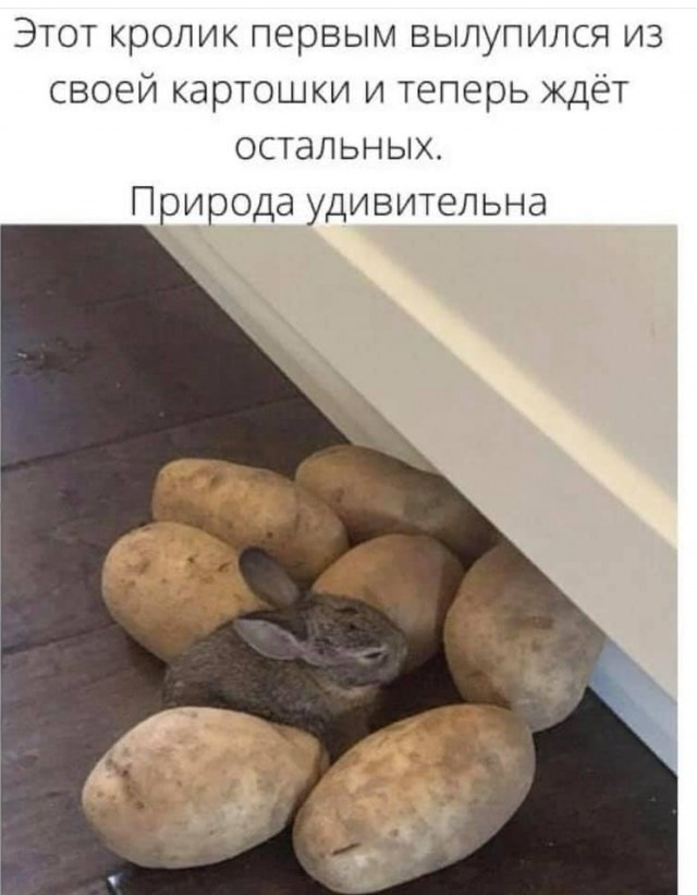 Немного картинок для настроения 222