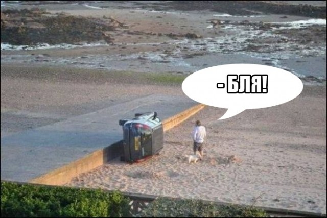 Чуток картинок 31.07.20