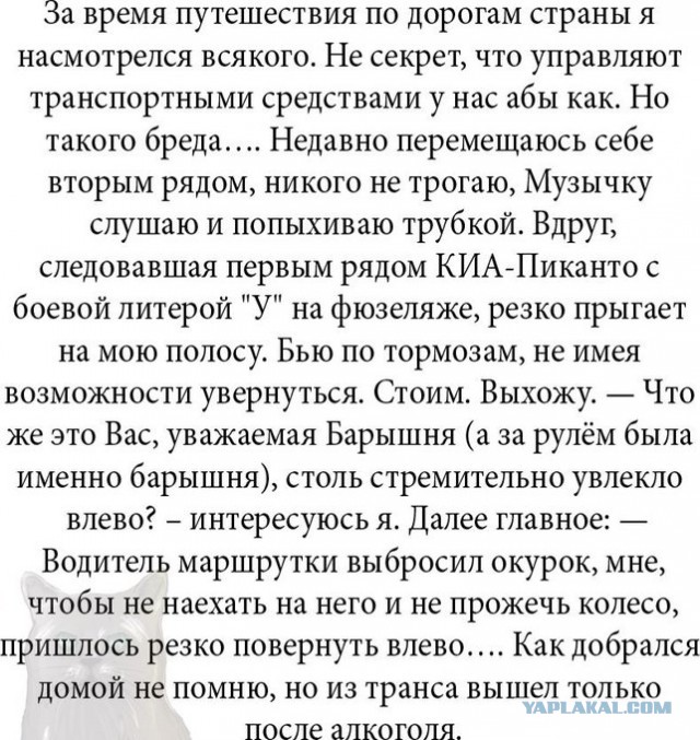 Бредзона 16.08.20