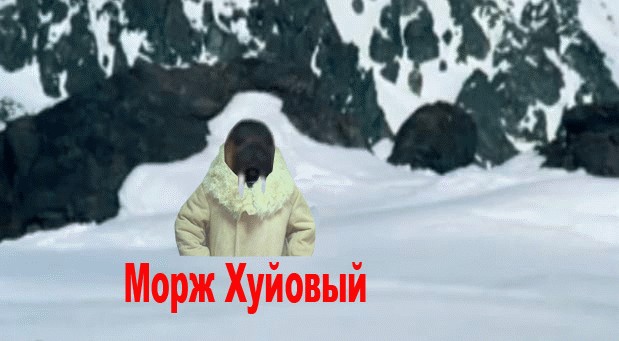 Жабим моржэ!1