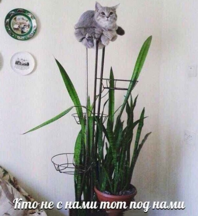 Бредзона 01.12.20