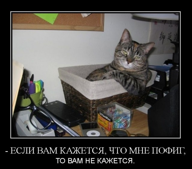 Боянистые картинки 22.12.20