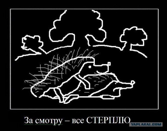 Хамство в Самаре. Автопробег сайта "смотра.ру"