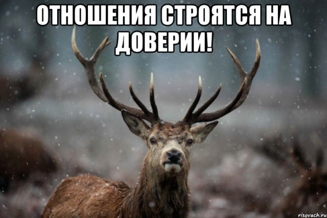 Биографии в фотографиях: Даниэлла Раш - падение звезды
