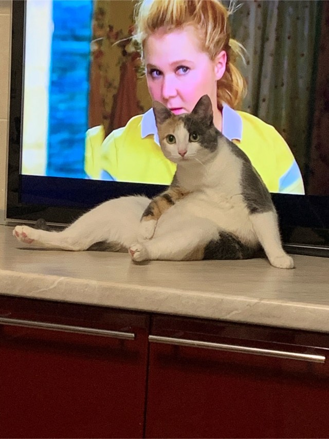 Его первая весна...
