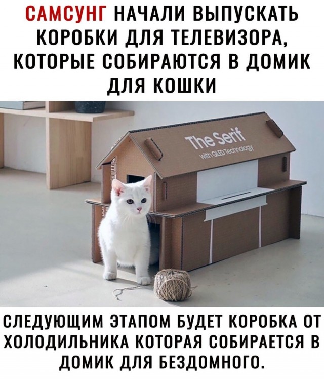 Так себе картинки 07.06.21