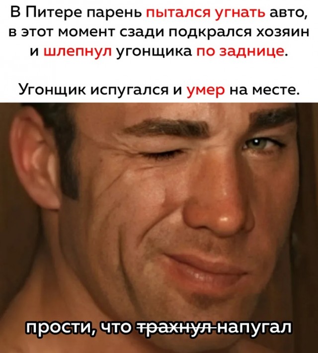 Весёлый полтишок 10.08