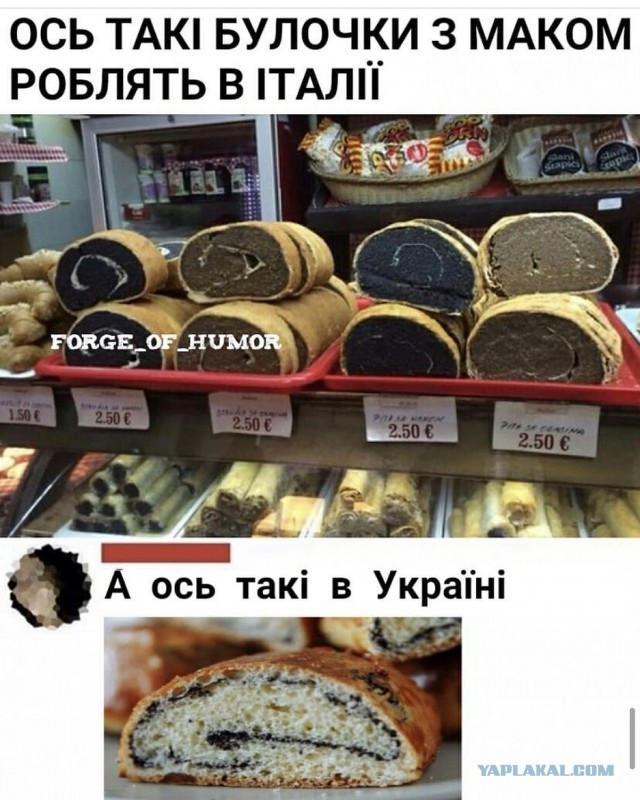 Вы можете мне не верить, но  это булочка с маком... в Черногории