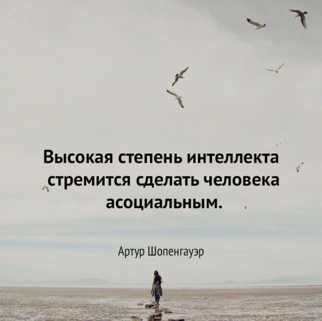 Весёлый полтишок 20.09.