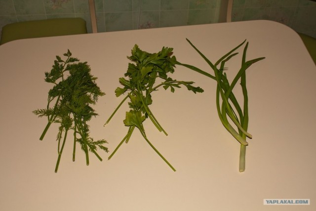 Картошка с мясом и грибами в горшочках