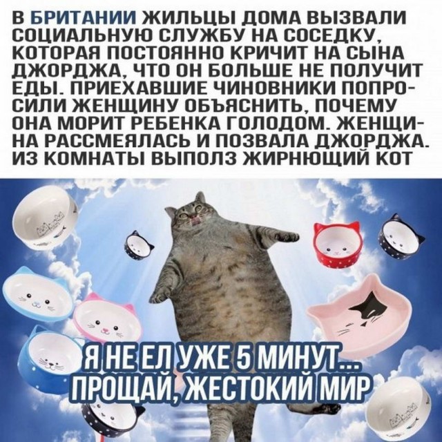 Картинки и мемы для настроения 30.09.2021