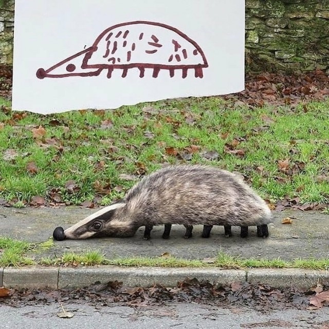 Я художник, я так вижу