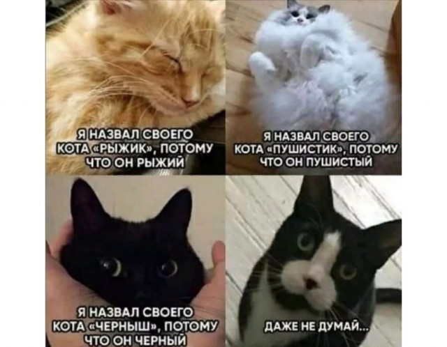 Пандемия. Коронавирус. Россия и мир. Последняя информация. Часть 26