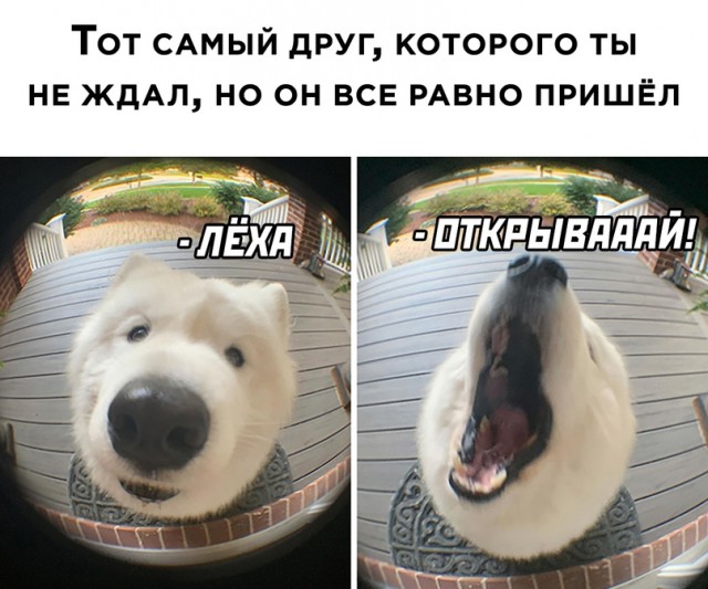 Картинки и мемы для настроения 23.11.2021