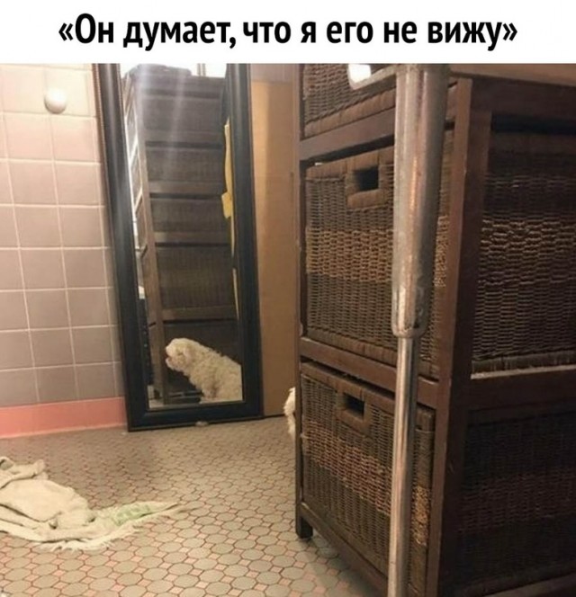Картинки и мемы для настроения