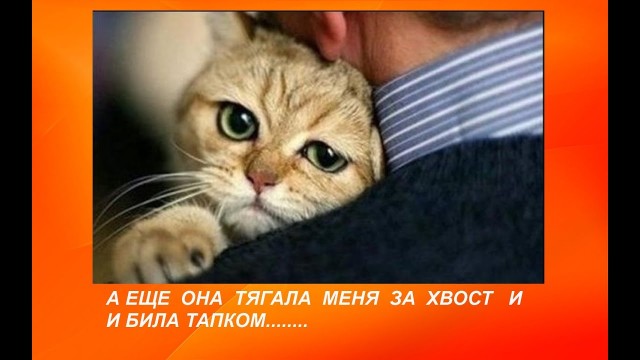 Пандемия. Коронавирус. Россия и мир. Часть 28