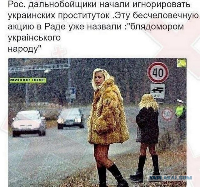В Эстонии магазин спортивных товаров отказался продавать лыжи гражданам России