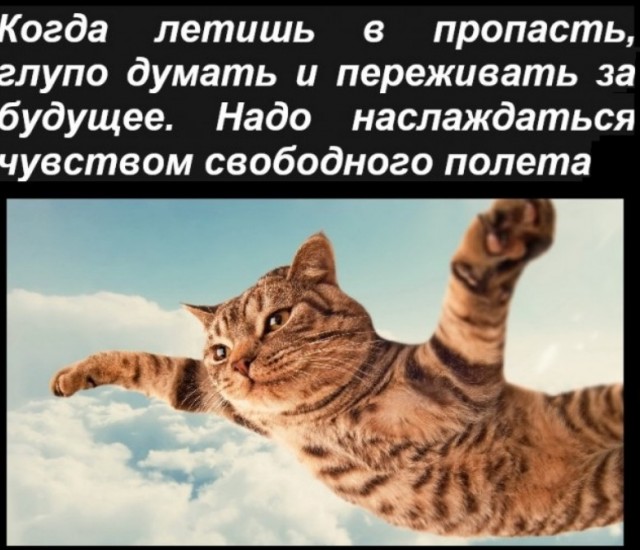 Что вообще происходит?