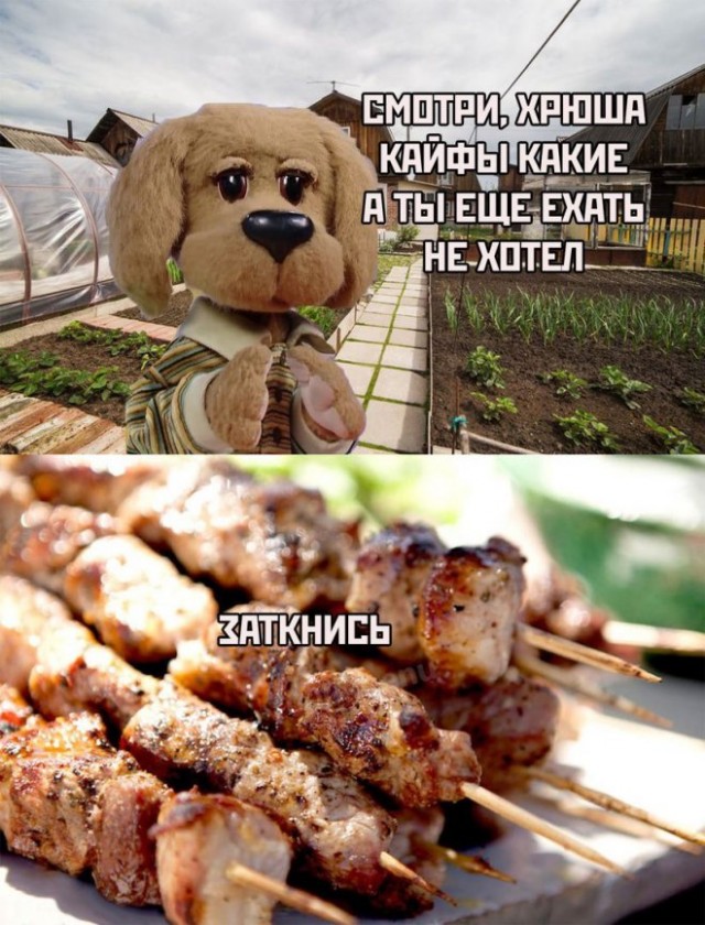 Так себе картинки 17.04.22