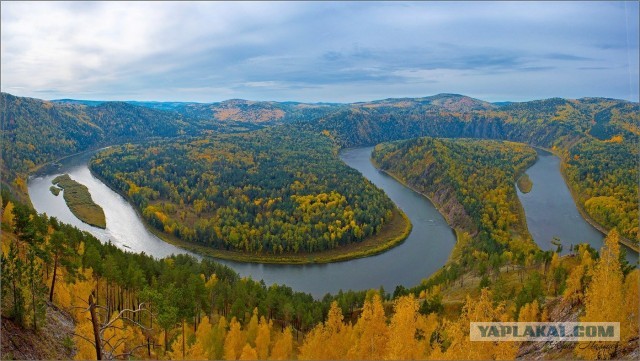 Красноярская тайга