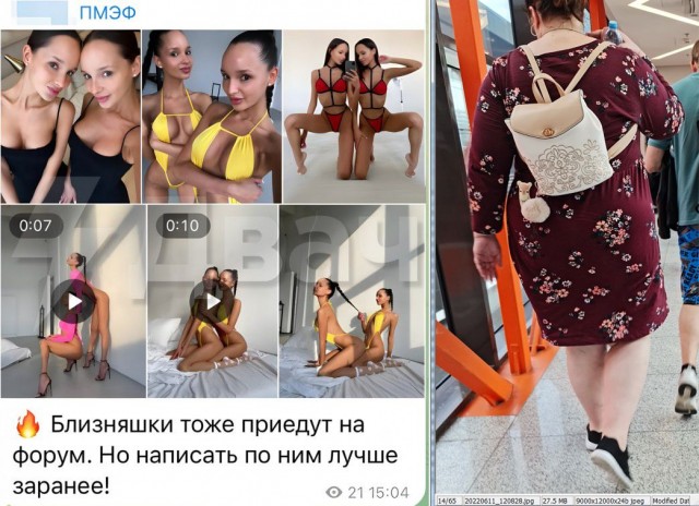 По полям ПМЭФ табунами ходят эскортницы