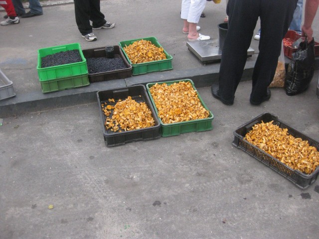 Поездка на ЕВРО-2012
