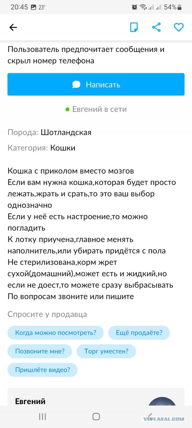 10+ объявлений с известного ресурса, которые опубликовали люди с отличным чувством юмора