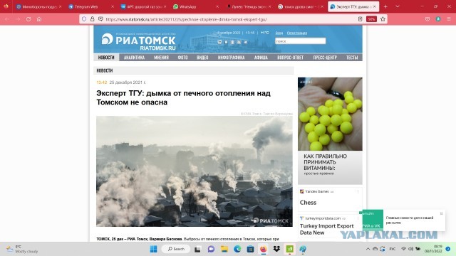 Лунёв: "Немцы экономят электричество? Не замечал. Нормально живут, пиво пьют"