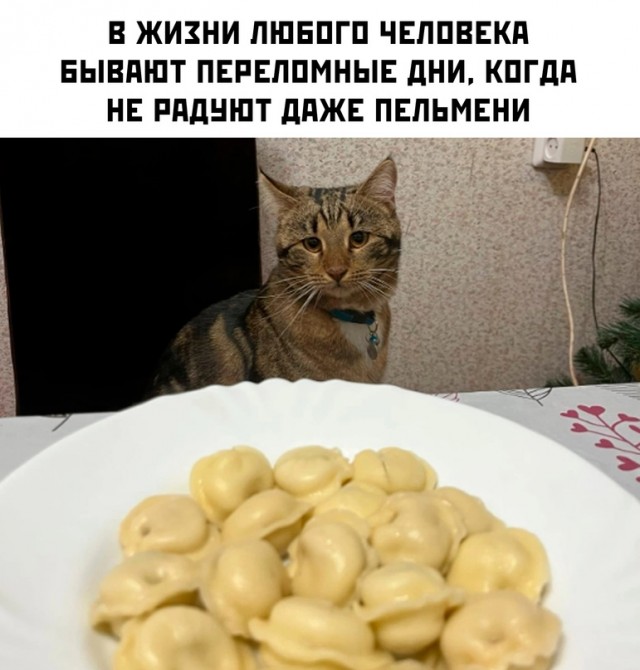 Немного картинок для настроения