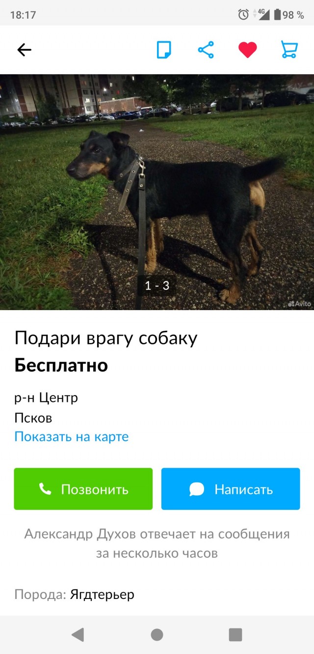 Такая вот беда у человека