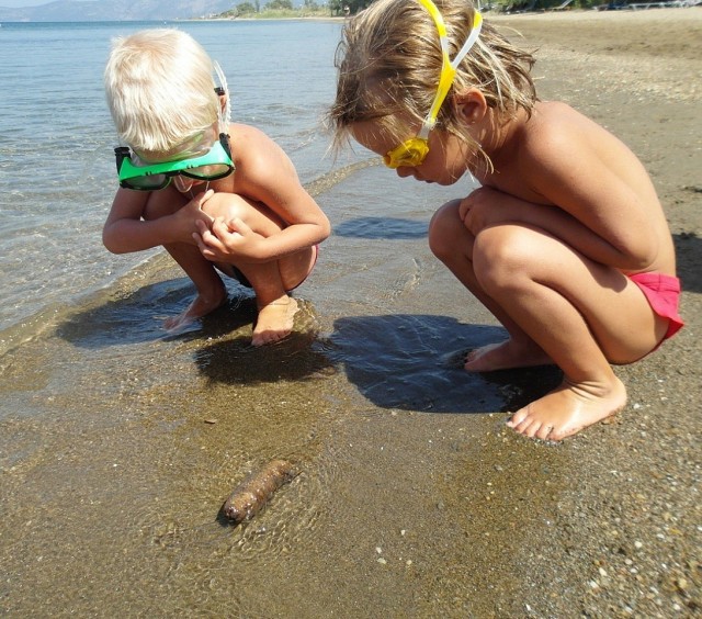 Дети хотели сделать водопад на пляже, но случайно поломали экосистему