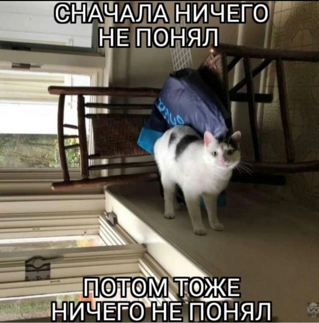 Нуштош 22.03.2023